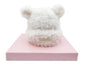 Winter Hats for Women Double Layer Fleece Line Beanie with Bobble Pom Pom Ears