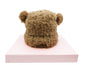 Winter Hats for Women Double Layer Fleece Line Beanie with Bobble Pom Pom Ears