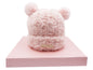 Winter Hats for Women Double Layer Fleece Line Beanie with Bobble Pom Pom Ears